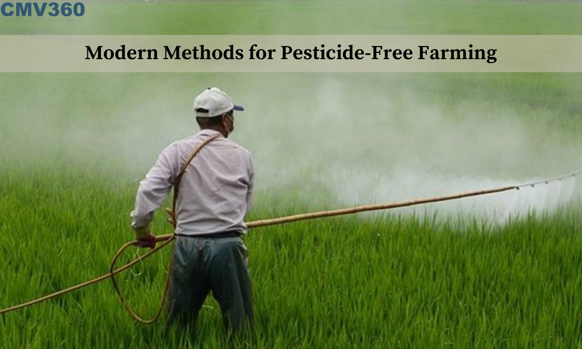 Modern Methods for Pesticide-Free Farming CMV_360_4_261ca383c5.png