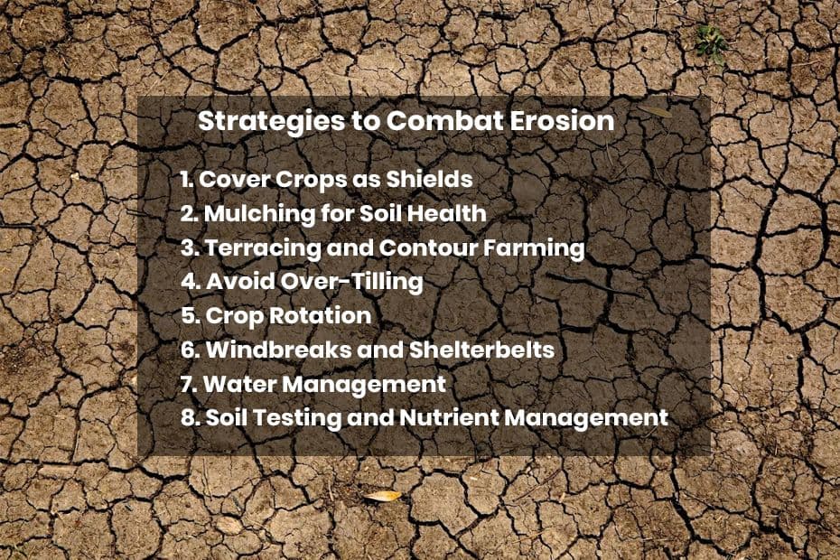 Cover Crops as Shields.jpg