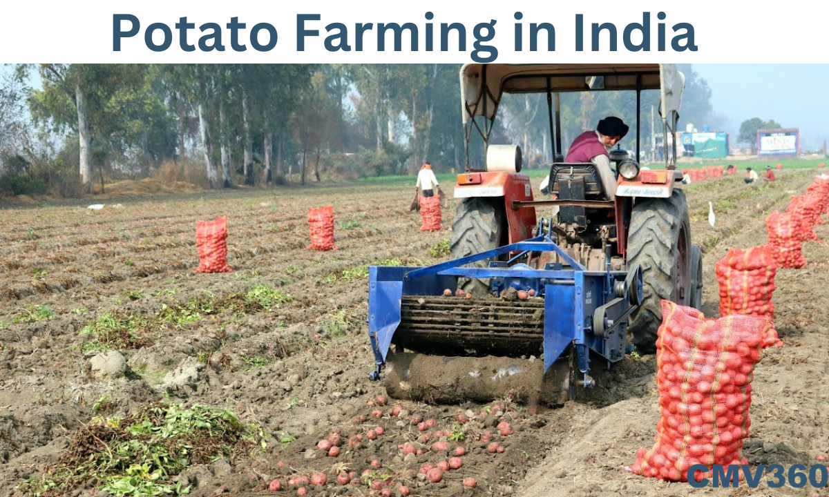 Potato_Farming_in_India_407e937a33.png