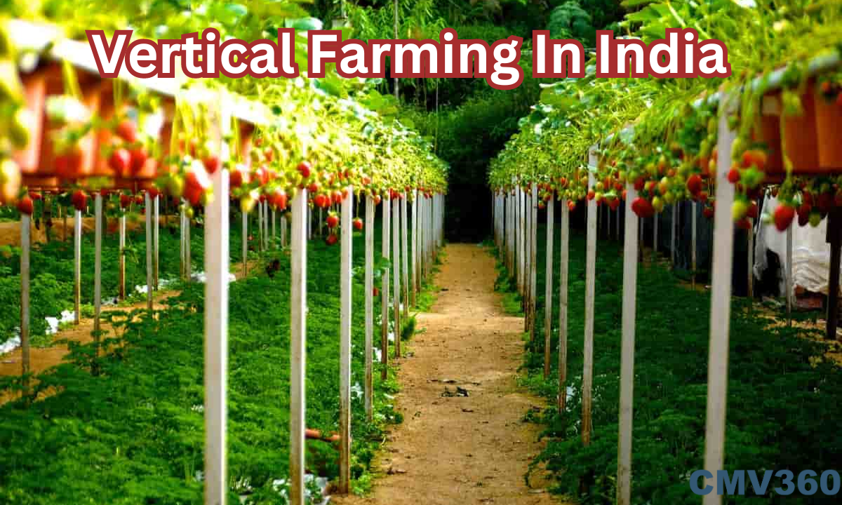 Vertical_Farming_In_India_7fabbc7342.png