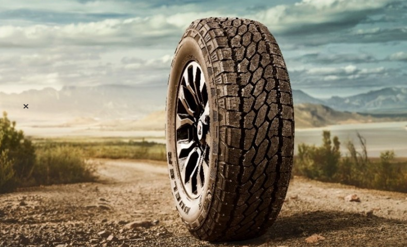 bridgestone_tyre_cf8154eefd.PNG