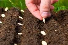 Top 5 Farming Tools for Efficient Sowing images_1_c73f06c098.jpg