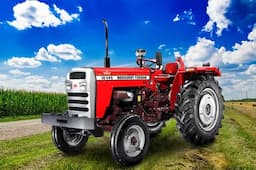 Massey Ferguson 244 DI Sona