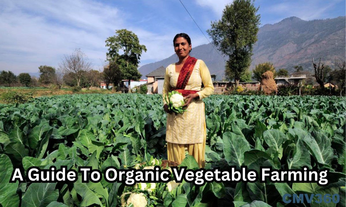 Vegetable Farm: A Guide To Organic Vegetable Farming A_Guide_To_Organic_Vegetable_Farming_18f5eda3cd.png