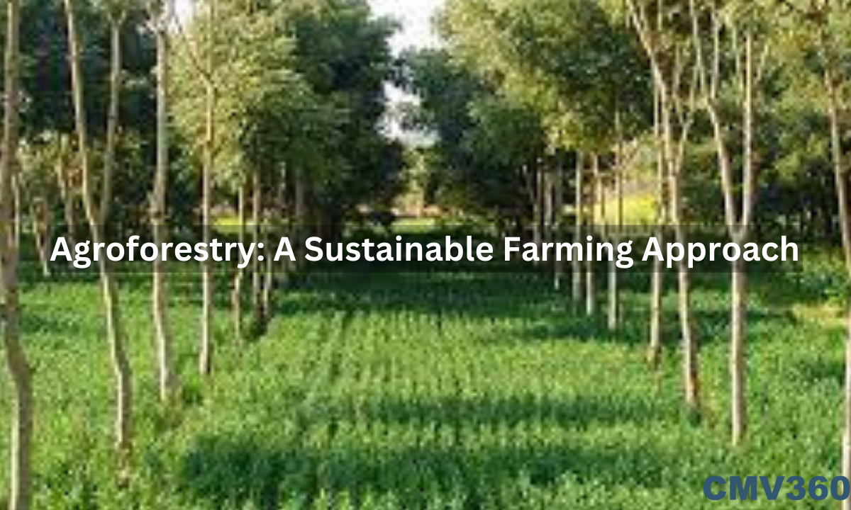 Agroforestry A Sustainable Farming Approach.png