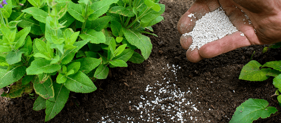 Fertilization for Plant.png