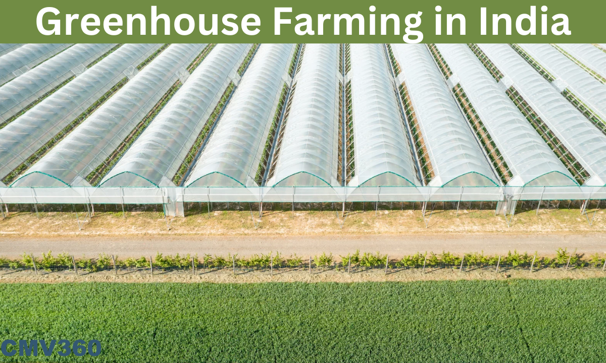Advantages of greenhouse farming in Indian agriculture Greenhouse_Farming_in_India_2c72d09b18.png