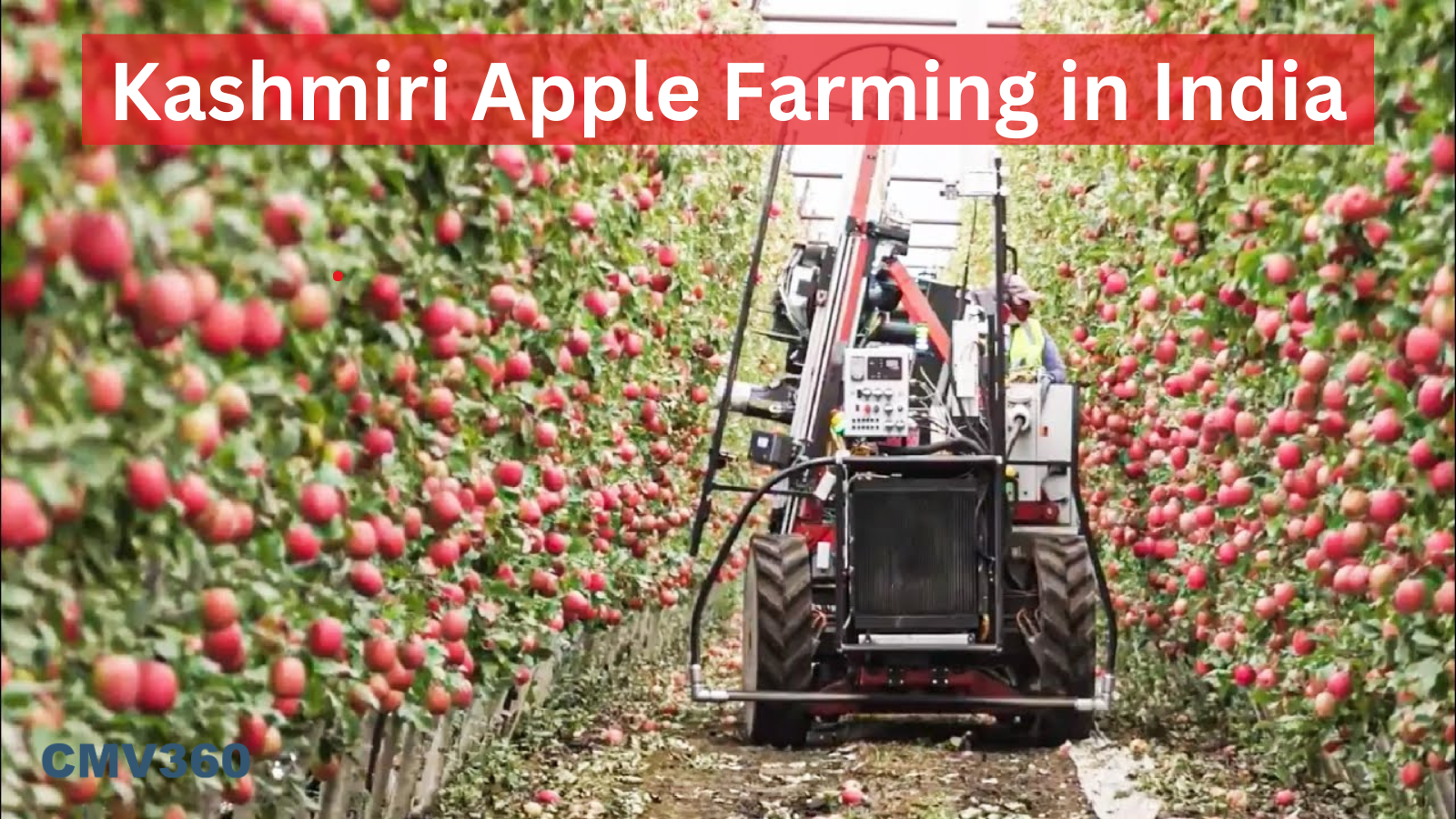 Kashmiri Apple Farming in India Kashmiri_Apple_Farming_in_India_5ee42b5224.png