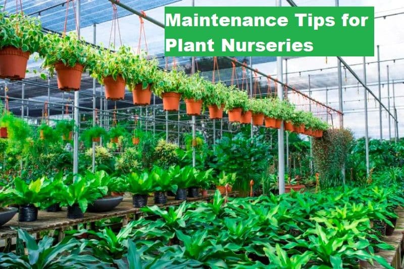 Maintenance Tips for Plant Nurseries Maintenance_Tips_Nursery_27c26fddbb.jpg