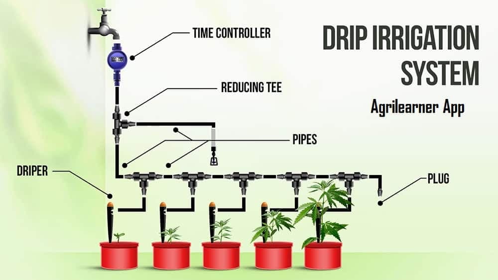 Micro Irrigation Fund-drip Irrigation