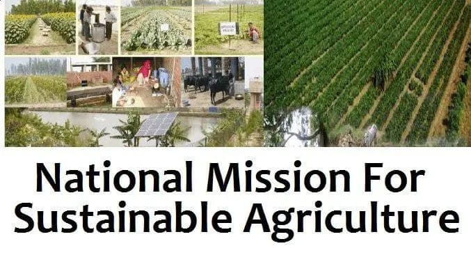 National Mission for Sustainable Agriculture: Objectives, Strategies, and Benefits Explained National_Mission_for_Sustainable_Agriculture_NMSA_fdd68a560e.jpg