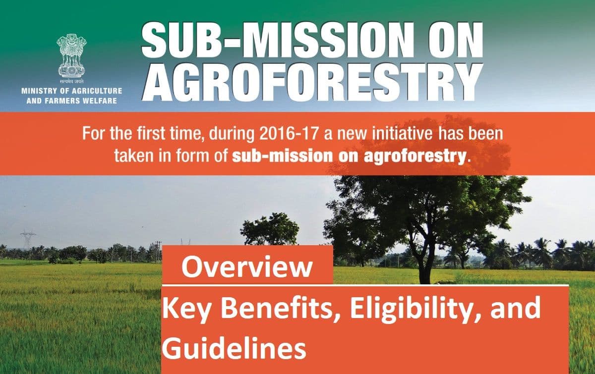 An overview of Sub-Mission on Agroforestry (SMAF): Key Benefits, Eligibility, and Guidelines Sub_Mission_on_Agroforestry_SMAF_add9e81519.jpg