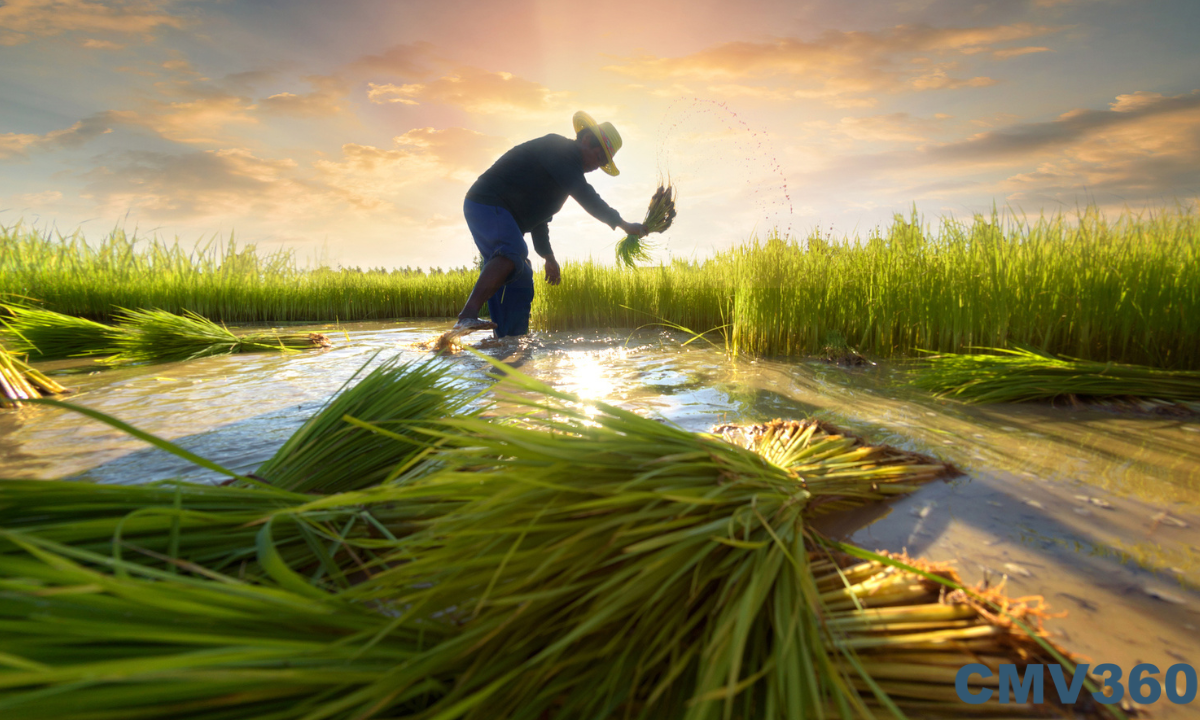 Top 10 Government Agriculture Initiatives For Farmers Top_10_Government_Agriculture_Initiatives_For_Farmers_d4506f6325.png