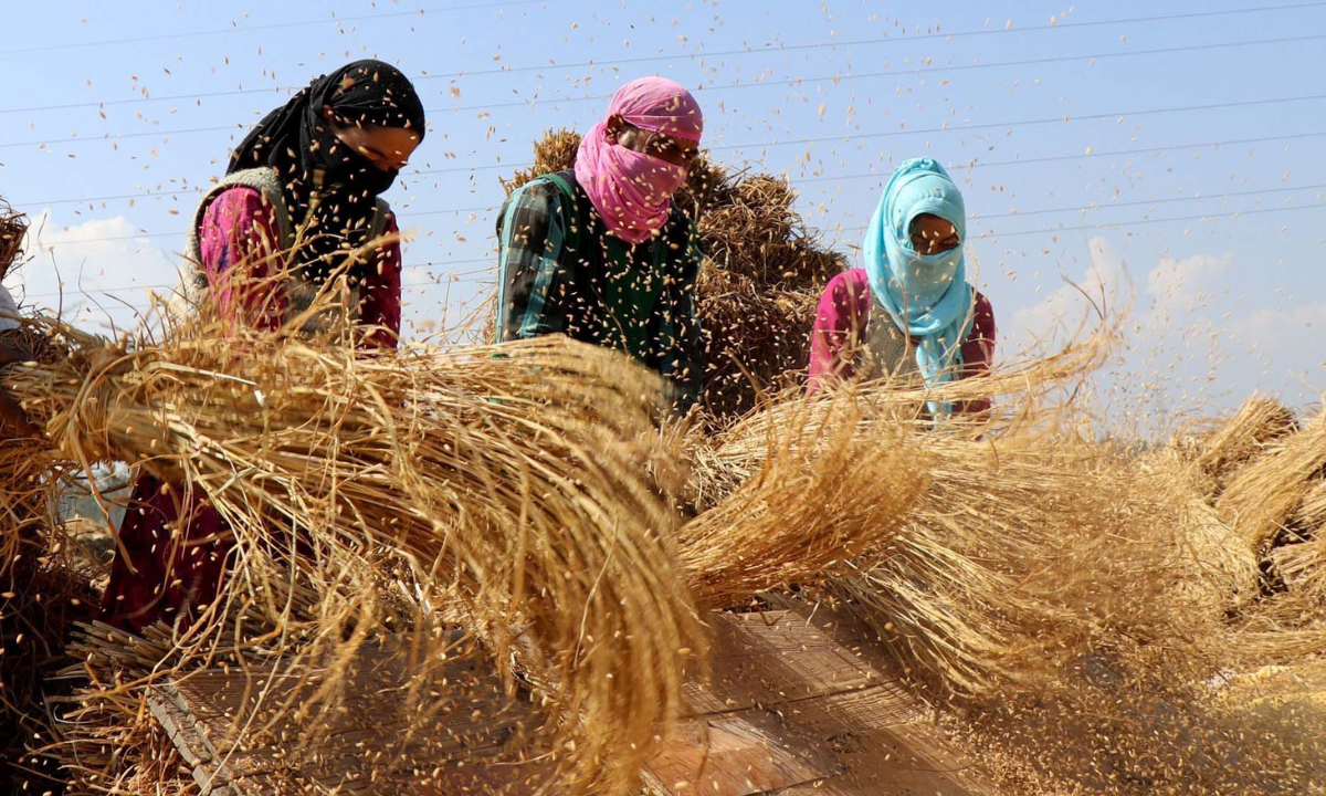 सरकार ने फसल अवशेष प्रबंधन में किसानों की सहायता के लिए सब्सिडी की घोषणा की Untitled_design_45_527900d94a.png