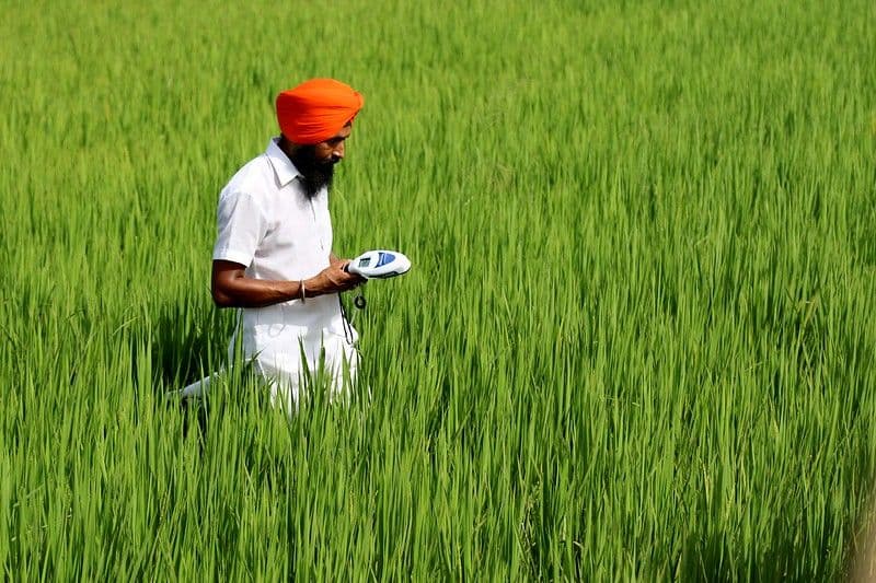 मौसम की चेतावनी: गंभीर मौसम कृषि को प्रभावित कर सकता है agri_c8b99f8ac8.jpeg