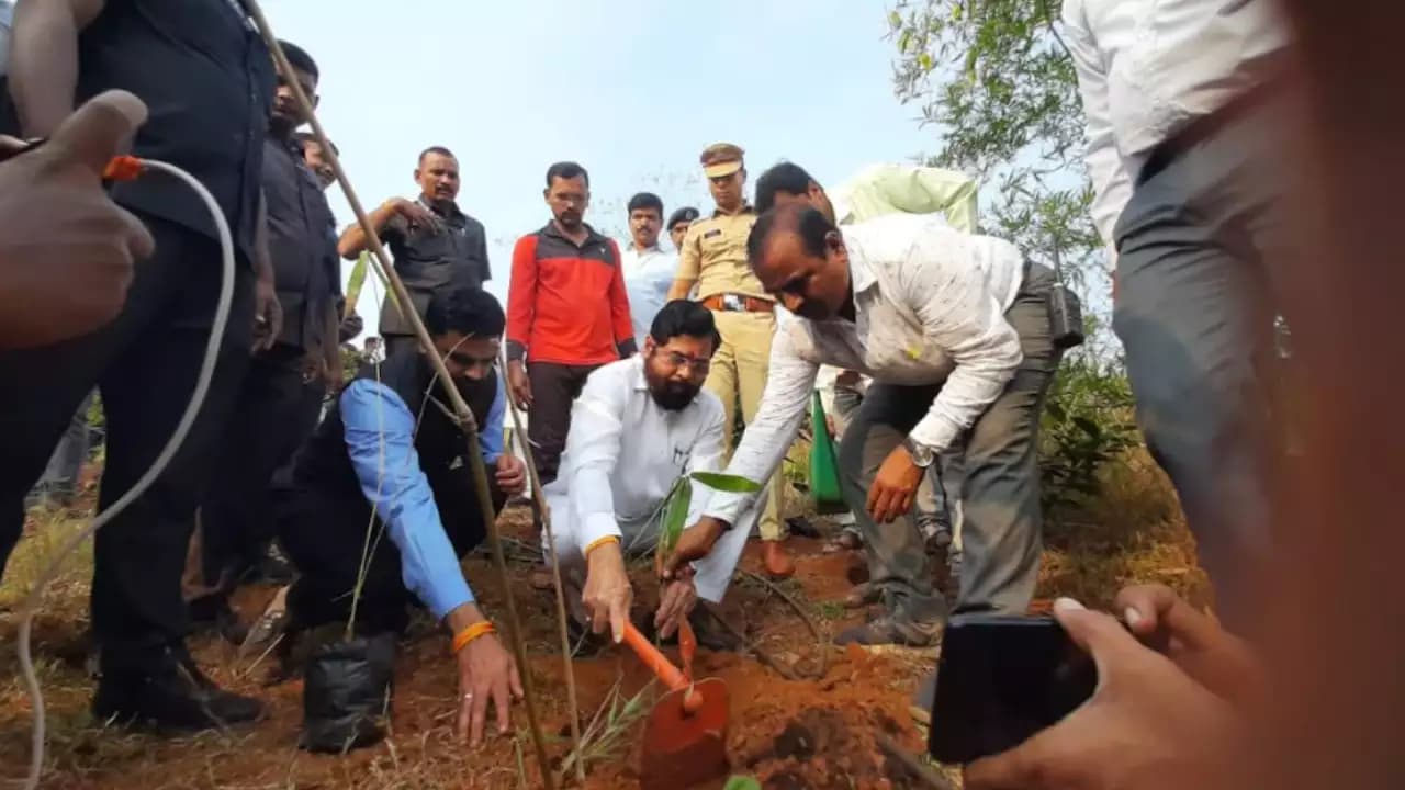Maharashtra Chief Minister Promotes Bamboo Farming as a Green Solution to Environmental Challenges and pollution bamboo_farming_66ac763109.webp