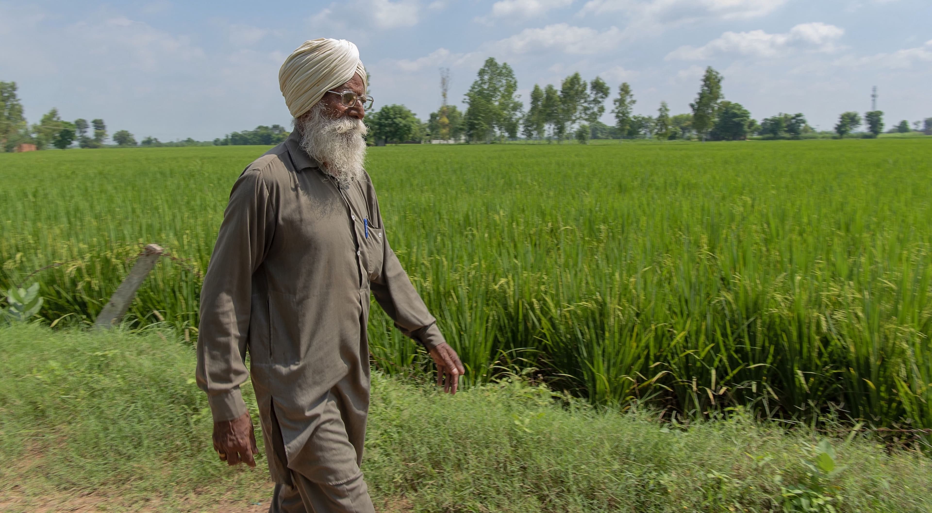 कृषि ऋण माफी योजना: किसानों को 50,000 रुपये की ऋण राहत farmers_in_india_5c0c31018f.jpg