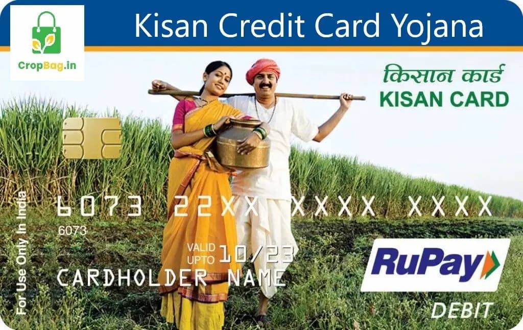 Kisan Credit Card (KCC) – Complete In-Depth Guide for Farmers kisan_credit_card_yojana_cmv360_ac2759ca76.jpg