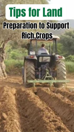 <p>Tips for Land Preparation to Support Rich Crops</p> <p>Tips for Land Preparation to Support Rich Crops</p>