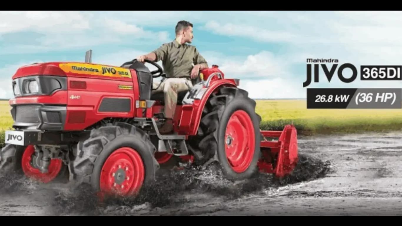 Mahindra JIVO 365 DI