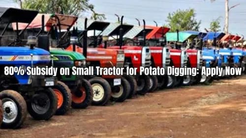80% Subsidy on Small Tractor for Potato Digging: Apply Now 80% Subsidy on Small Tractor for Potato Digging: Apply Now