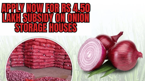 Apply Now for Rs 4.50 Lakh Subsidy on Onion Storage Houses Apply Now for Rs 4.50 Lakh Subsidy on Onion Storage Houses