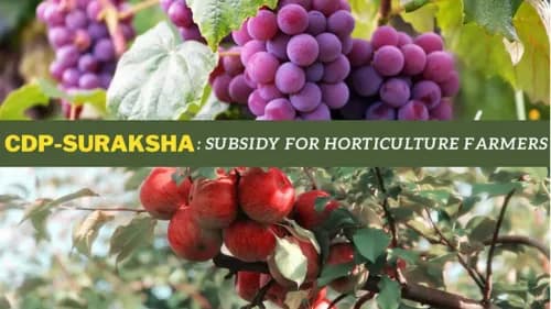 BJP Introduces CDP-SURAKSHA: Digital Subsidy Platform for Horticulture Farmers to Get Subsidy BJP Introduces CDP-SURAKSHA: Digital Subsidy Platform for Horticulture Farmers to Get Subsidy