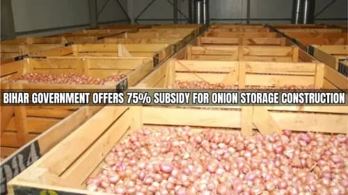 Bihar Government Offers 75% Subsidy for Onion Storage Construction Bihar Government Offers 75% Subsidy for Onion Storage Construction