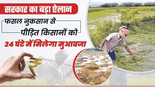 CM Announces Compensation for Farmers Hit by Rain, Hailstorm, & Lightning CM Announces Compensation for Farmers Hit by Rain, Hailstorm, & Lightning