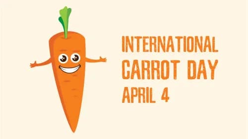 Celebrating International Carrot Day 2024: Exploring India's Vibrant Carrot Varieties Celebrating International Carrot Day 2024: Exploring India's Vibrant Carrot Varieties