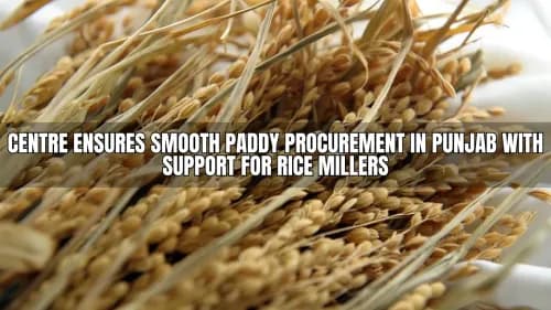 Centre Ensures Smooth Paddy Procurement in Punjab with Support for Rice Millers Centre Ensures Smooth Paddy Procurement in Punjab with Support for Rice Millers
