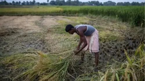 Centre to Invest ₹6,000 Crore in AI and Drones for Smart Farming Centre to Invest ₹6,000 Crore in AI and Drones for Smart Farming