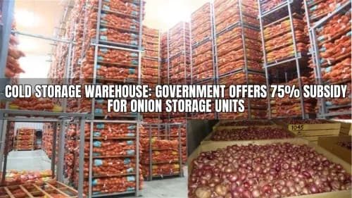Cold Storage Warehouse: Bihar Government Offers 75% Subsidy for Onion Storage Units Cold Storage Warehouse: Bihar Government Offers 75% Subsidy for Onion Storage Units