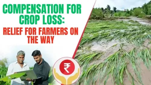 Compensation for Crop Loss: Relief for Farmers on the Way Compensation for Crop Loss: Relief for Farmers on the Way