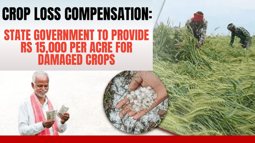 Crop Loss Compensation: State Government to Provide Rs 15,000 per Acre for Damaged Crops Crop Loss Compensation: State Government to Provide Rs 15,000 per Acre for Damaged Crops
