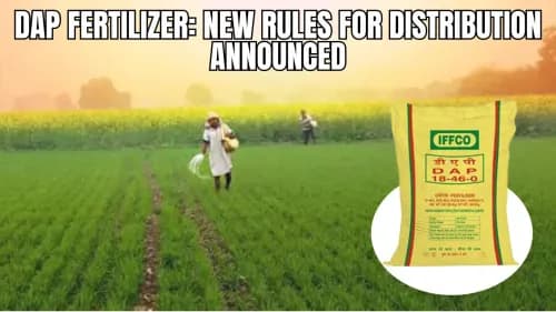 DAP Fertilizer: New Rules for Distribution Announced DAP Fertilizer Rules: Documents Needed for Fair Distribution