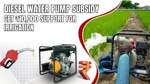 Diesel Water Pump Subsidy: Get ₹10,000 Support for Irrigation Diesel Water Pump Subsidy: Get ₹10,000 Support for Irrigation