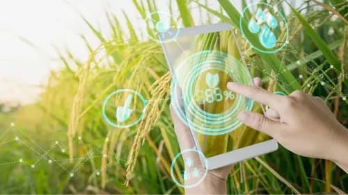 Digital Agriculture Mission: Rs 2800 Crore Initiative to Transform Farming Digital Agriculture Mission: Rs 2800 Crore Initiative to Transform Farming