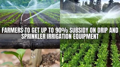 Farmers to Get Up to 90% Subsidy on Drip and Sprinkler Irrigation Equipment Farmers to Get Up to 90% Subsidy on Drip and Sprinkler Irrigation Equipment