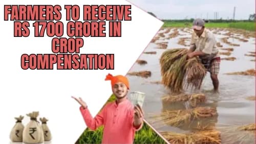 Farmers to Receive Rs 1700 Crore in Crop Compensation Farmers to Receive Rs 1700 Crore in Crop Compensation