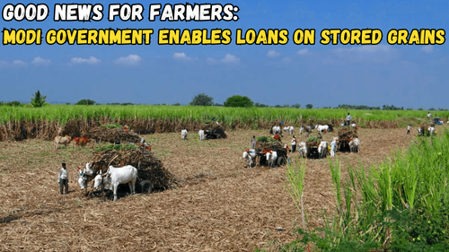 Good News: Modi Government Unveils New Scheme, Empowering Farmers with Loans on Stored Produce Good News: Modi Government Unveils New Scheme, Empowering Farmers with Loans on Stored Produce