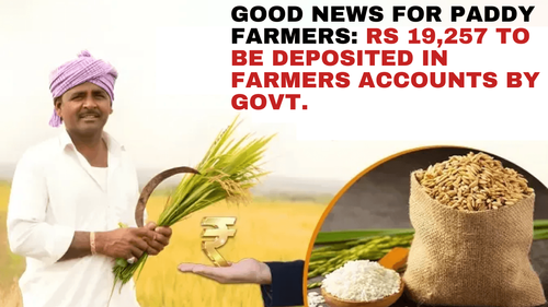 Good News for Paddy Farmers: Rs 19,257 to be Deposited in Paddy Farmers Accounts by Govt Good News for Paddy Farmers: Rs 19,257 to be Deposited in Paddy Farmers Accounts by Govt