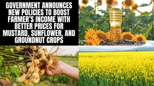 Government Announces New Policies to Boost Farmer’s Income with Better Prices for Mustard, Sunflower, and Groundnut Crops Government Announces New Policies to Boost Farmer’s Income with Better Prices for Mustard, Sunflower, and Groundnut Crops