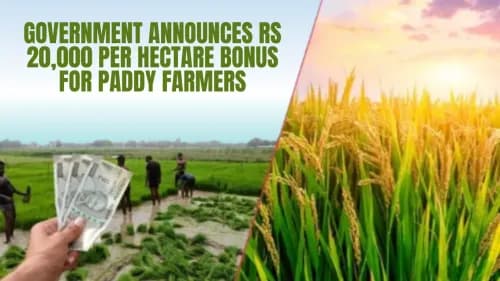 Government Announces Rs 20,000 Per Hectare Bonus for Paddy Farmers Government Announces Rs 20,000 Per Hectare Bonus for Paddy Farmers