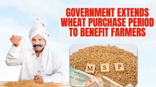 Government Extends Wheat Purchase Period to Benefit Farmers Government Extends Wheat Purchase Period to Benefit Farmers