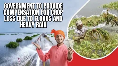 Government to Provide Compensation for Crop Loss Due to Floods and Heavy Rain Government to Provide Compensation for Crop Loss Due to Floods and Heavy Rain