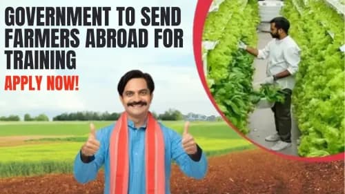 Government to Send Farmers Abroad for Training: Apply Now! Government to Send Farmers Abroad for Training: Apply Now!