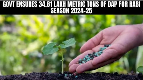 Govt Ensures 34.81 Lakh Metric Tons of DAP for Rabi Season 2024-25 Govt Ensures 34.81 Lakh Metric Tons of DAP for Rabi Season 2024-25