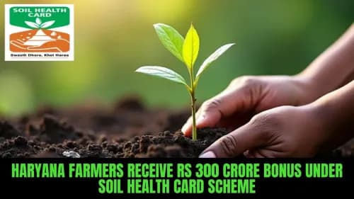Haryana Farmers Receive Rs 300 Crore Bonus Under Soil Health Card Scheme Haryana Farmers Get Rs 300 Crore Bonus, Soil Health Cards
