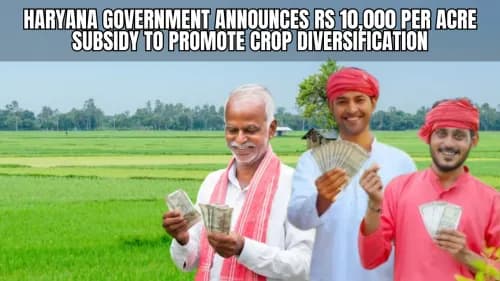 Haryana Government Announces Rs 10,000 per Acre Subsidy to Promote Crop Diversification Haryana Government Announces Rs 10,000 per Acre Subsidy to Promote Crop Diversification